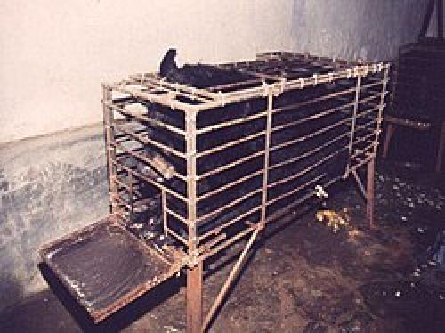 Какие виды лекарств можно приготовить из азиатской медведки