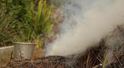 Как защитить сад от возвратных заморозков. Защищаем сад от возвратных заморозков   01