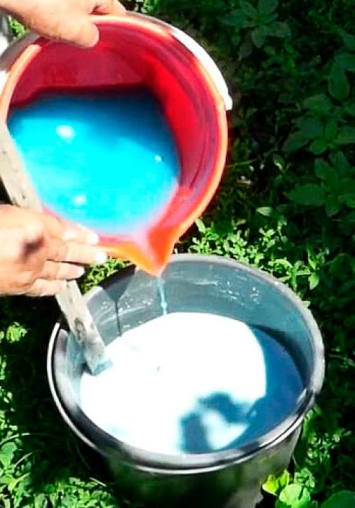 Бордосская жидкость применение осенью. Бордосская жидкость, применение в садоводстве весной и осенью