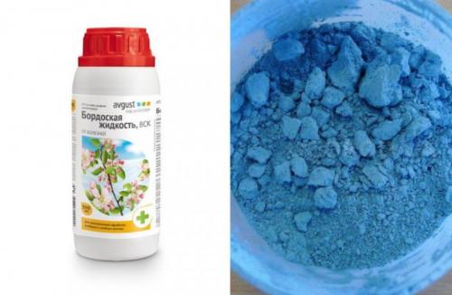 Бордосская жидкость осенью. Что такое бордоская жидкость?