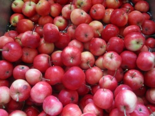 Какие особенности имеет прозрачное варенье из яблок по сравнению с обычным вареньем. Прозрачное яблочное варенье