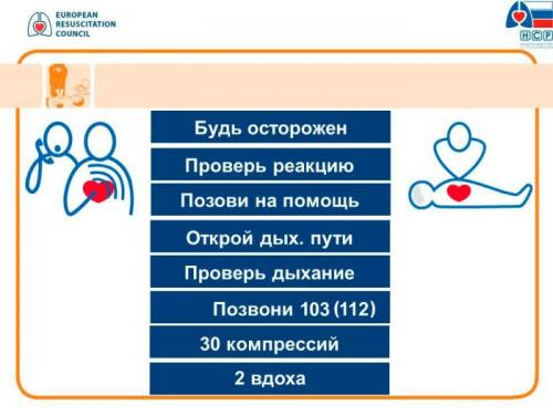 Реанимация ели. Что такое сердечно-легочная реанимация и как правильно ее провести