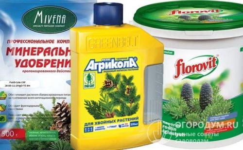 Удобрения для туи от пожелтения. Сколько раз и чем удобрять