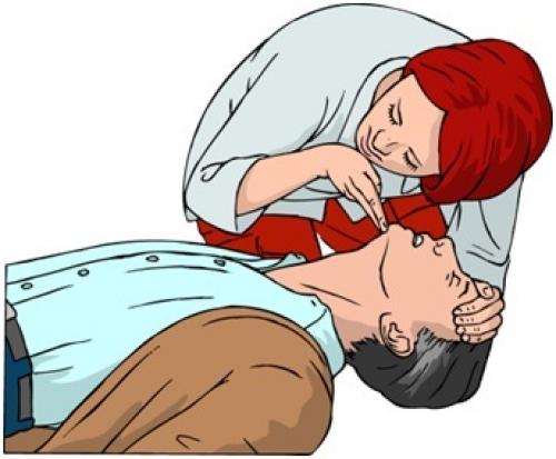 Реанимация ели. Что такое сердечно-легочная реанимация и как правильно ее провести