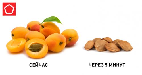 Сливы лечебные свойства. Как правильно хранить сливу? 01 Сливы лечебные свойства. Как правильно хранить сливу? 01