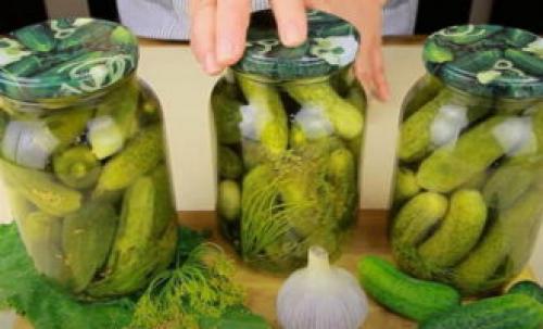 Огурцы маринованные сладко острые. Сладкие огурцы на зиму маринованные – 8 рецептов хрустящих огурцов