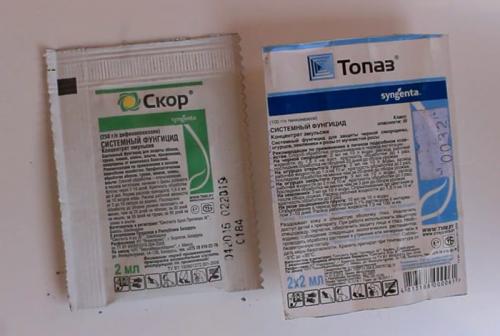 Хорус для хвойных, как разводить. Как и когда применять Хорус для разных культур