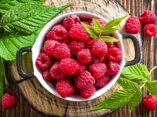 Малина садовая посадка и уход. Как сажать правильно 09