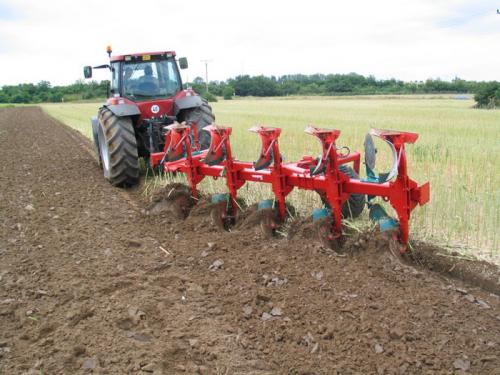 Чем обработать почву от болезней. Чем обработать землю от вредителей перед посадкой: народные средства и химические препараты