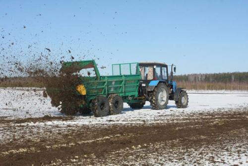 Чем обработать почву от болезней. Чем обработать землю от вредителей перед посадкой: народные средства и химические препараты