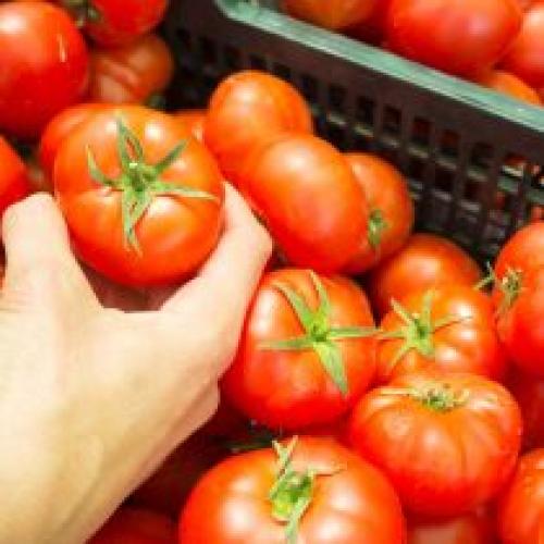 Какие растения можно пересадить в дом для защиты от мороза