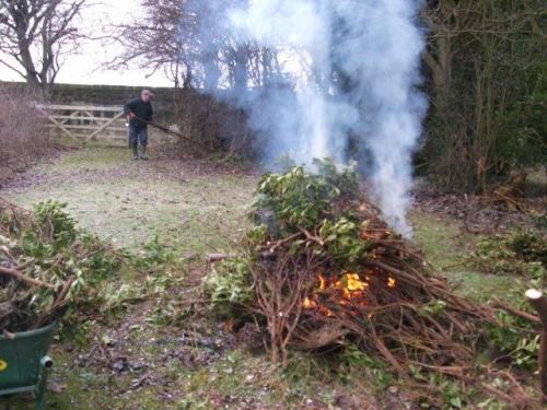 Какие растения наиболее уязвимы для заморозков весной
