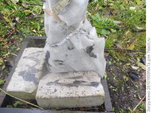 Приемы защиты плодовых деревьев