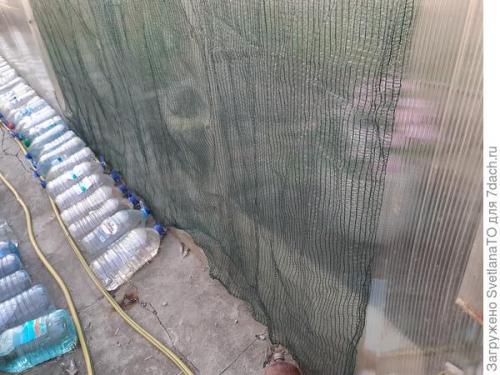 Какие растения можно защитить с помощью специальных ограждений или теплиц