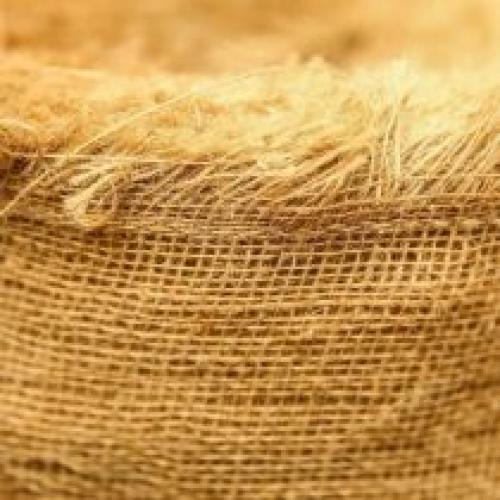 Какие растения наиболее уязвимы для заморозков