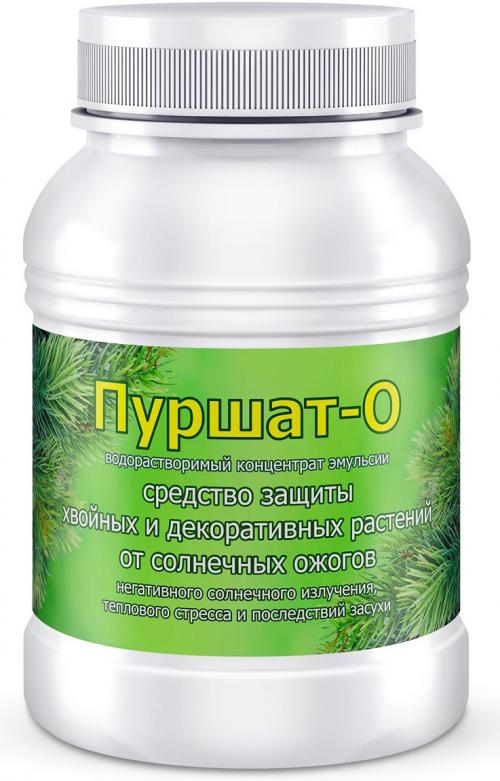 Солнечные ожоги у хвойных. Надёжная защита хвойных и декоративных растений от солнечных ожогов 01