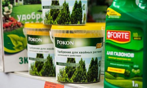 Чем обрабатывать хвойные растения. Корневая подкорма хвойных растений