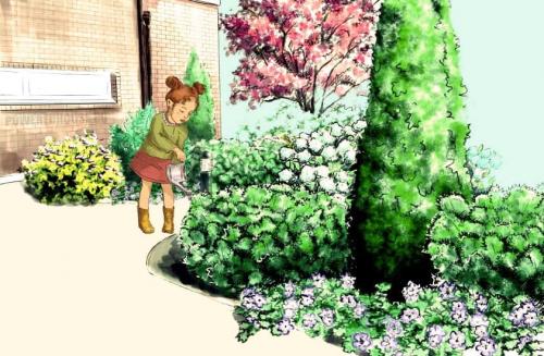 Как ухаживать за туей дома. Туя на участке — посадка, выращивание и правильный уход