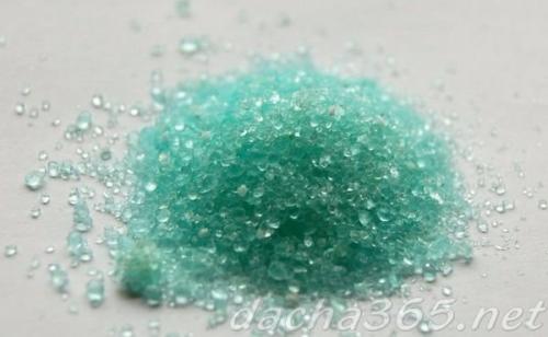 Можно ли опрыскивать хвойники железным купоросом. Подготовка к обработке