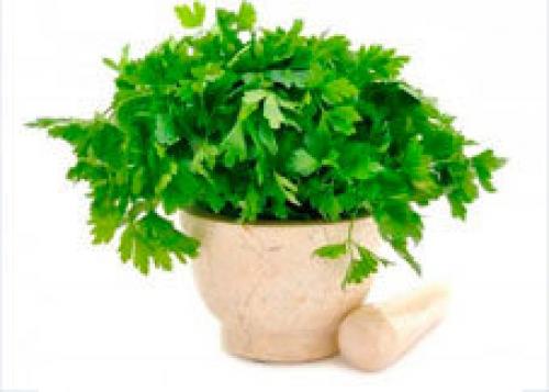 Что любит печень на завтрак. Пища, которая пагубно сказывается на работе печени