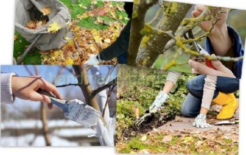 Не пропустите осеннюю обработку сада от вредителей и болезней. Добавление статьи в новую подборку 07 Не пропустите осеннюю обработку сада от вредителей и болезней. Добавление статьи в новую подборку 07