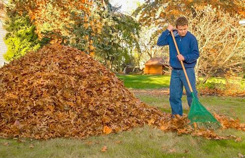 Химическая обработка сада осенью. Осенняя обработка сада: эффективные приемы против болезней и вредителей