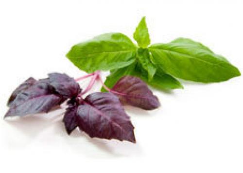 Что любит печень на ужин. Пища, которая пагубно сказывается на работе печени