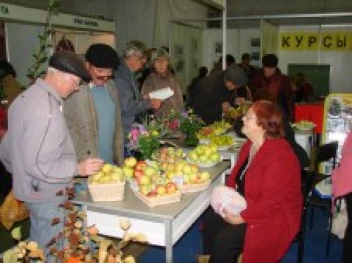 Коск россия осенний блюз. “Осенний блюз” в Екатеринбурге