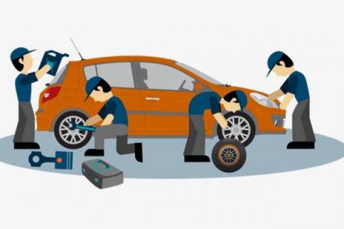 Как защитить растения от заморозков