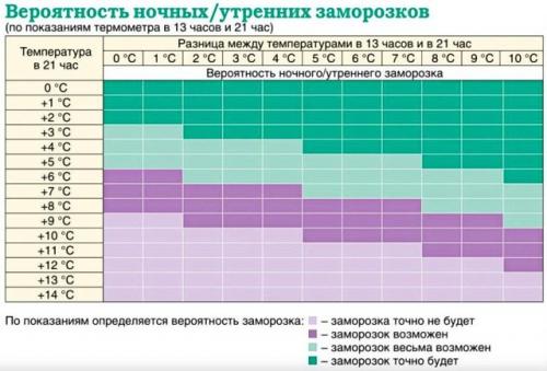 Как защитить растения от заморозков. Какие бывают заморозки