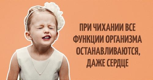 Такого мы не ожидали: удивительные факты о природе 01 Такого мы не ожидали: удивительные факты о природе 01