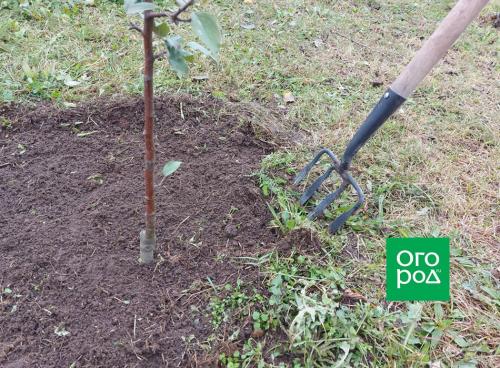 Какие виды укрытий и защитных материалов можно использовать для защиты от заморозков