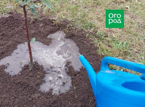 Какие виды укрытий и защитных материалов можно использовать для защиты от заморозков