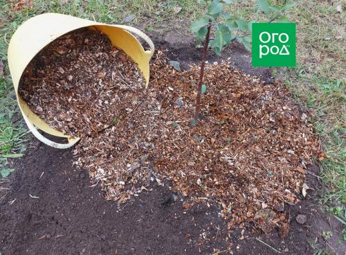 Какие виды укрытий и защитных материалов можно использовать для защиты от заморозков