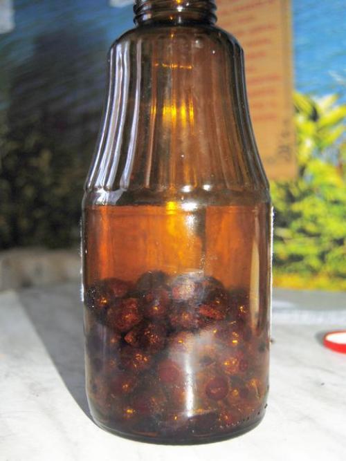 Фруктовая настойка на водке. Домашняя настойка на водке на замороженных ягодах