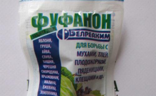 Как спасти малину. Как и чем обработать малину весной