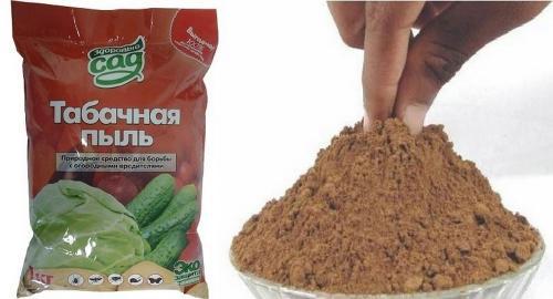 Табачная пыль вред. Применение табачной пыли против вредителей