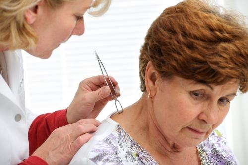 Покончено с сциаридами и клещами: эффективные методы борьбы 03