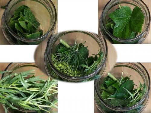 Маринад для помидор и огурцов с лимонной кислотой. Ассорти из огурцов и помидоров на зиму — самые вкусные рецепты