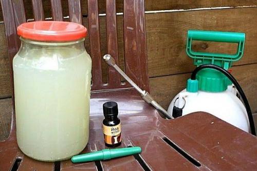 Можно ли использовать народные средства для лечения фиалки.