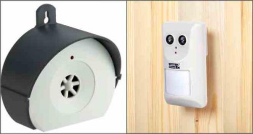 Удаление мошек с растений: эффективные методы 04