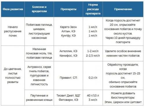 Уход за малиной осенью. Уход за малиной с ранней осени 03