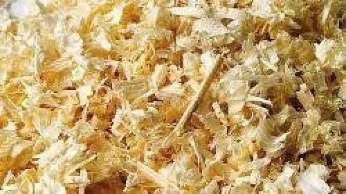 Мульчирование малины летом. Чем и как мульчировать малину осенью и весной