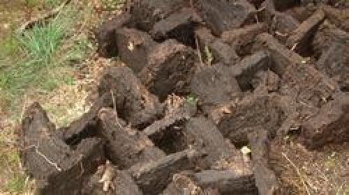 Мульчирование малины летом. Чем и как мульчировать малину осенью и весной