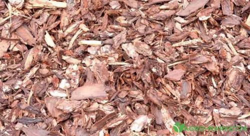 Секреты успешного выращивания смородины: 7 правил после уборки урожая 06 Секреты успешного выращивания смородины: 7 правил после уборки урожая 06