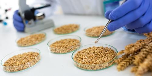 Основные шаги после сбора урожая: что делать дальше 12 Основные шаги после сбора урожая: что делать дальше 12