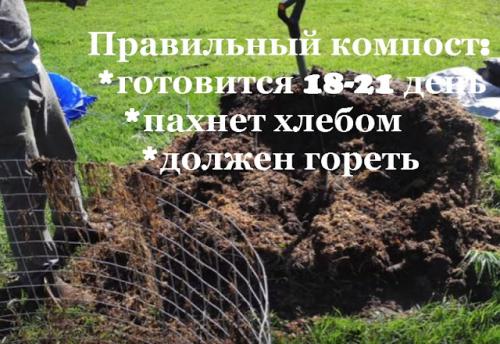 Что делать с остатками прошлогодних культур во время осенней подготовки. Компост - залог успеха!