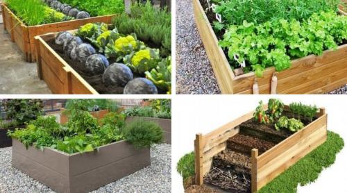 Нужно ли убирать остатки растений с огорода и сада: правда и мифы 01