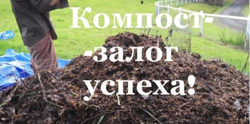 Что делать с остатками прошлогодних культур во время осенней подготовки. Компост - залог успеха!