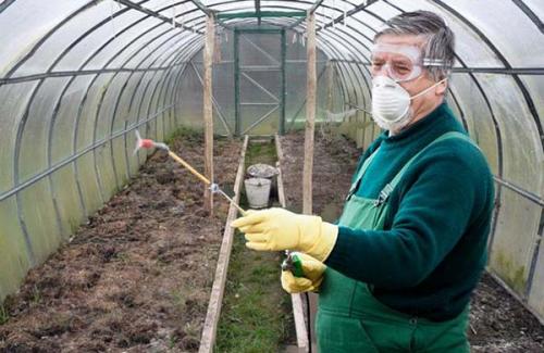 Осенняя подготовка теплицы: что делать после сбора урожая 06